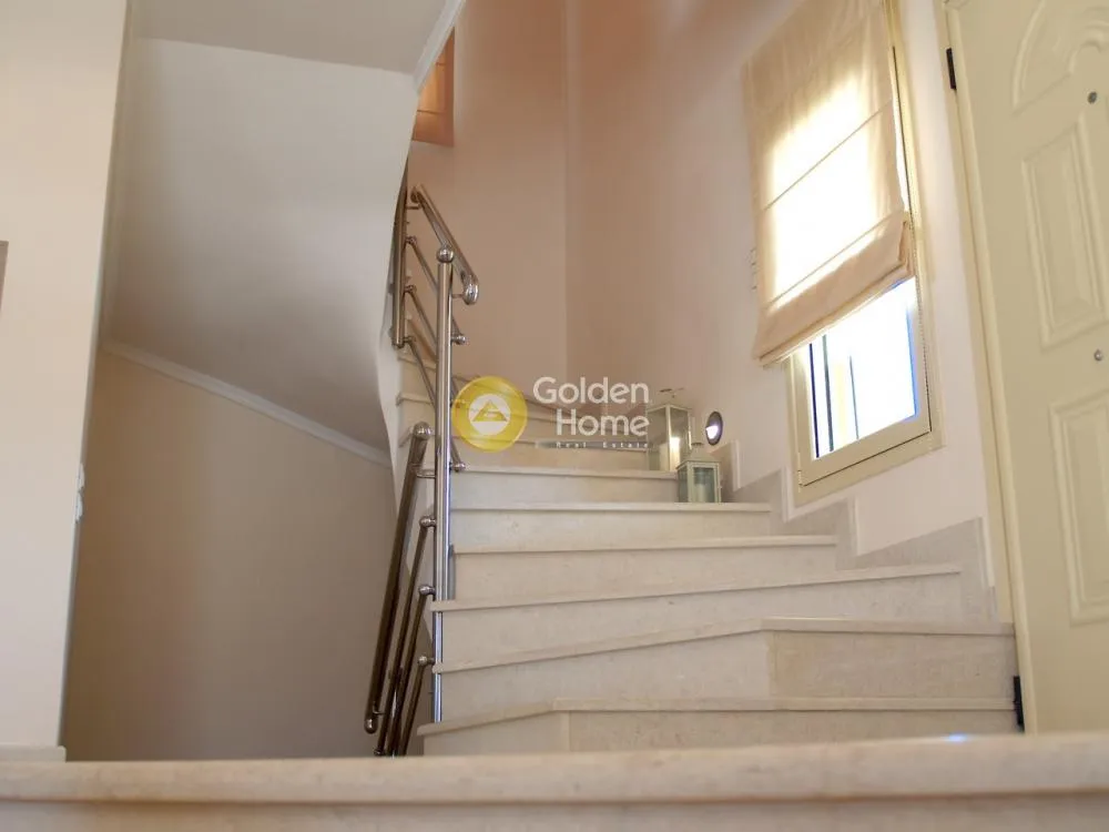 Detached house 525m²  - 2