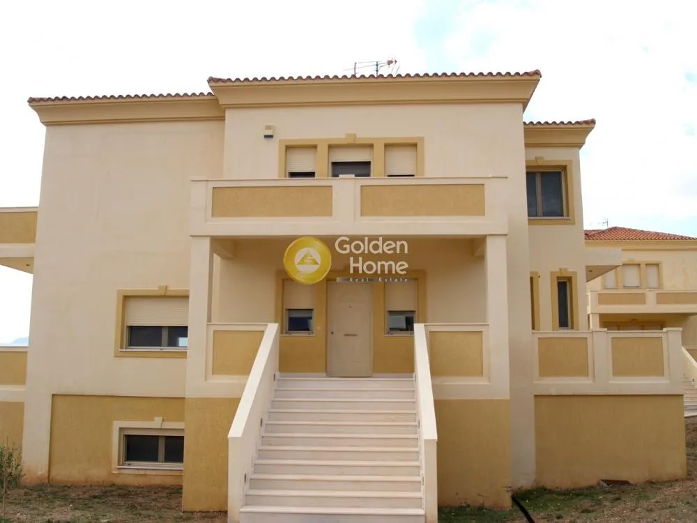 Detached house 525m²  - 4