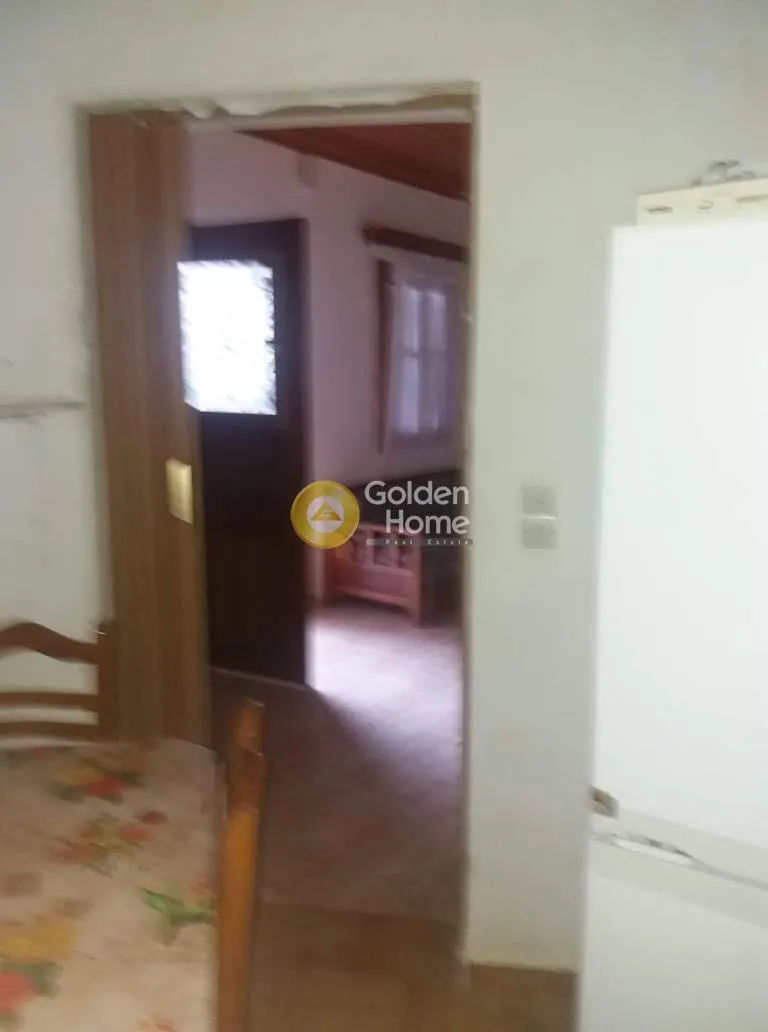 Apartment 50m²  - 2