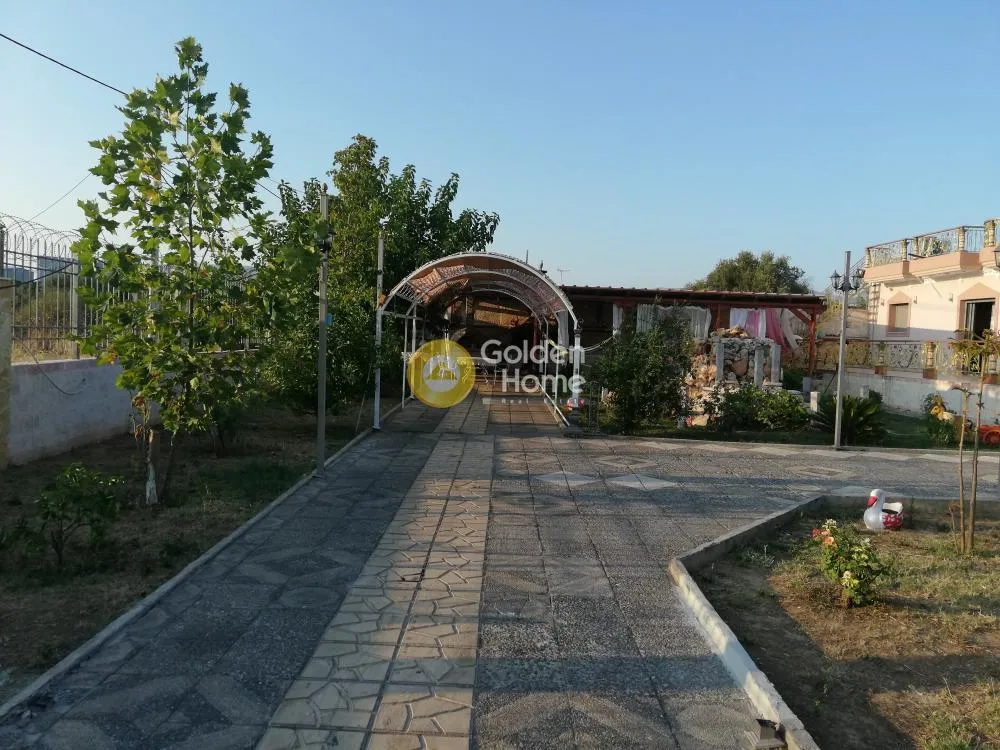 Detached house 360m²  - 2