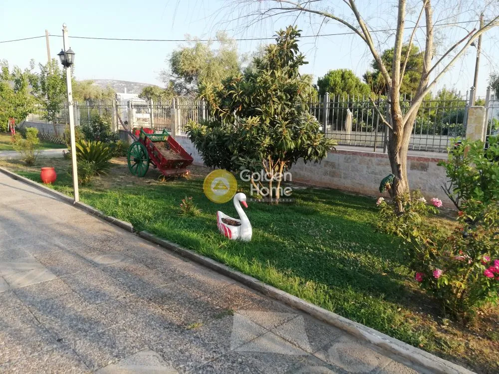 Detached house 360m²  - 4