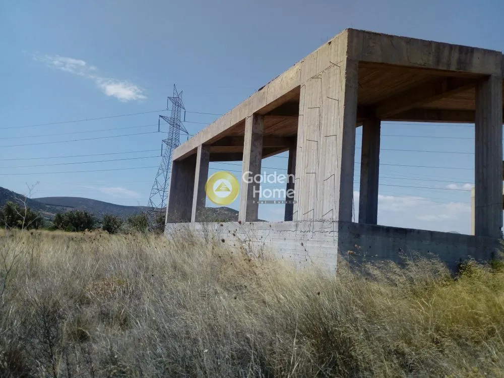 Άλλο.. 600τ.μ.  - 2