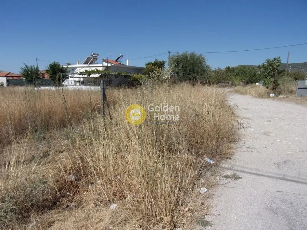 Αγροτεμάχιο 578τ.μ.  - 4