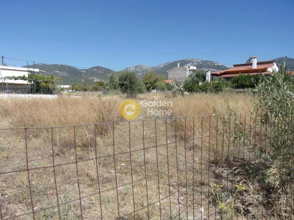 Αγροτεμάχιο 578τ.μ.  - 5