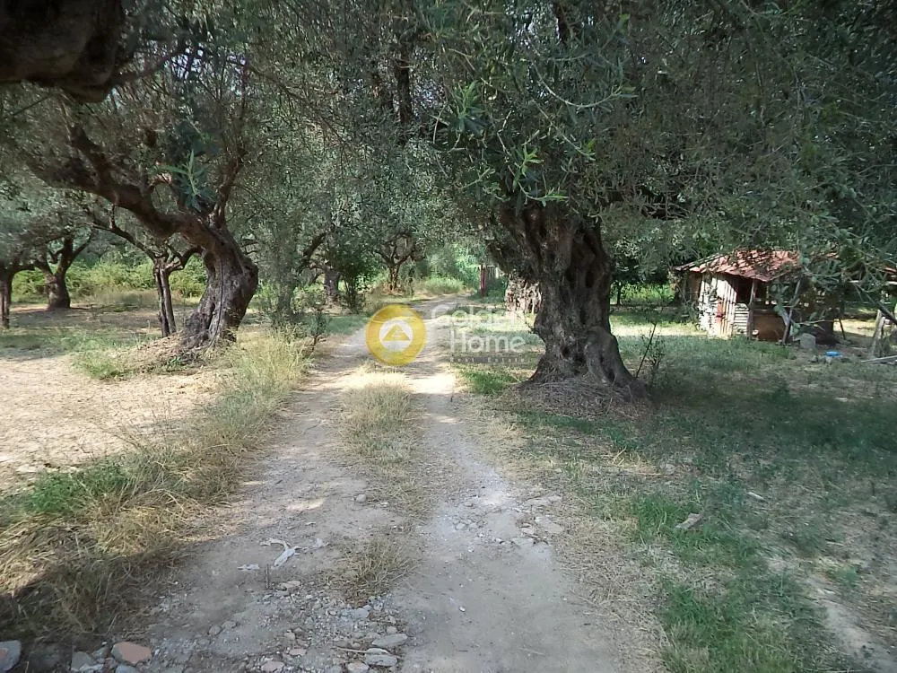 Αγροτεμάχιο 2680τ.μ.  - 3