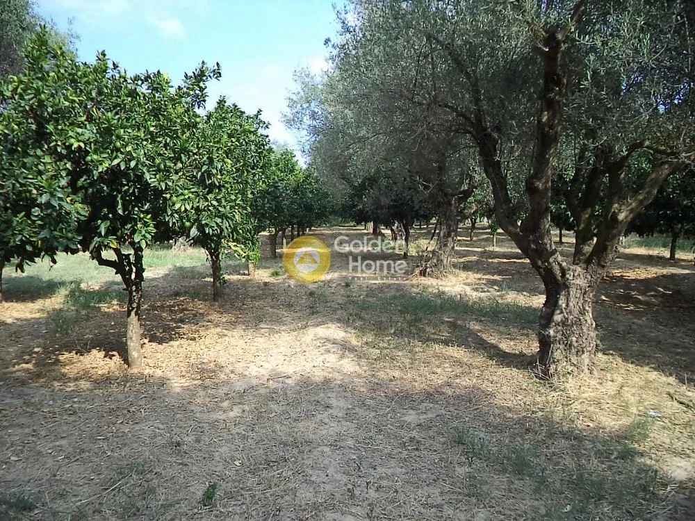 Αγροτεμάχιο 2680τ.μ.  - 4