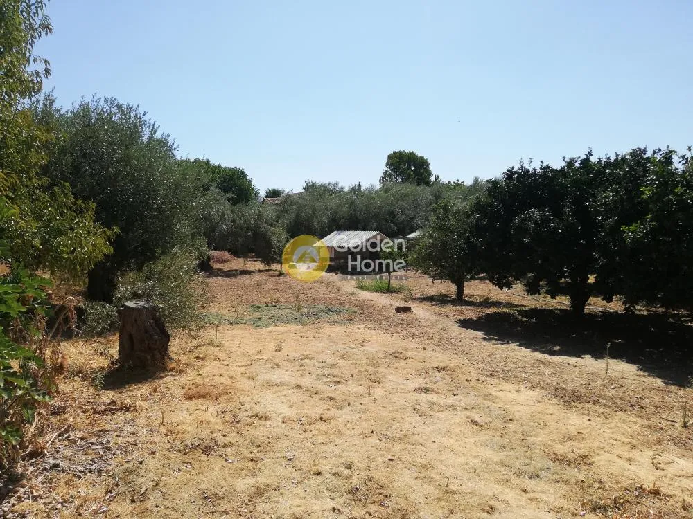 Μονοκατοικία 60τ.μ.  - 3