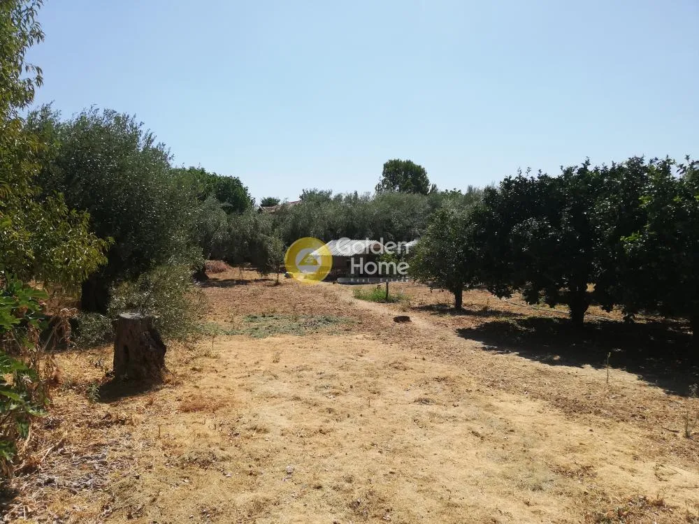 Μονοκατοικία 60τ.μ.  - 4