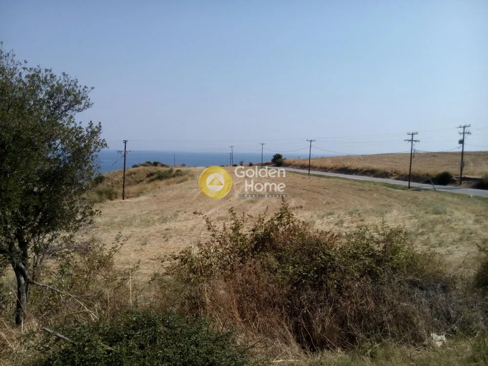 Αγροτεμάχιο 15202τ.μ.  - 3