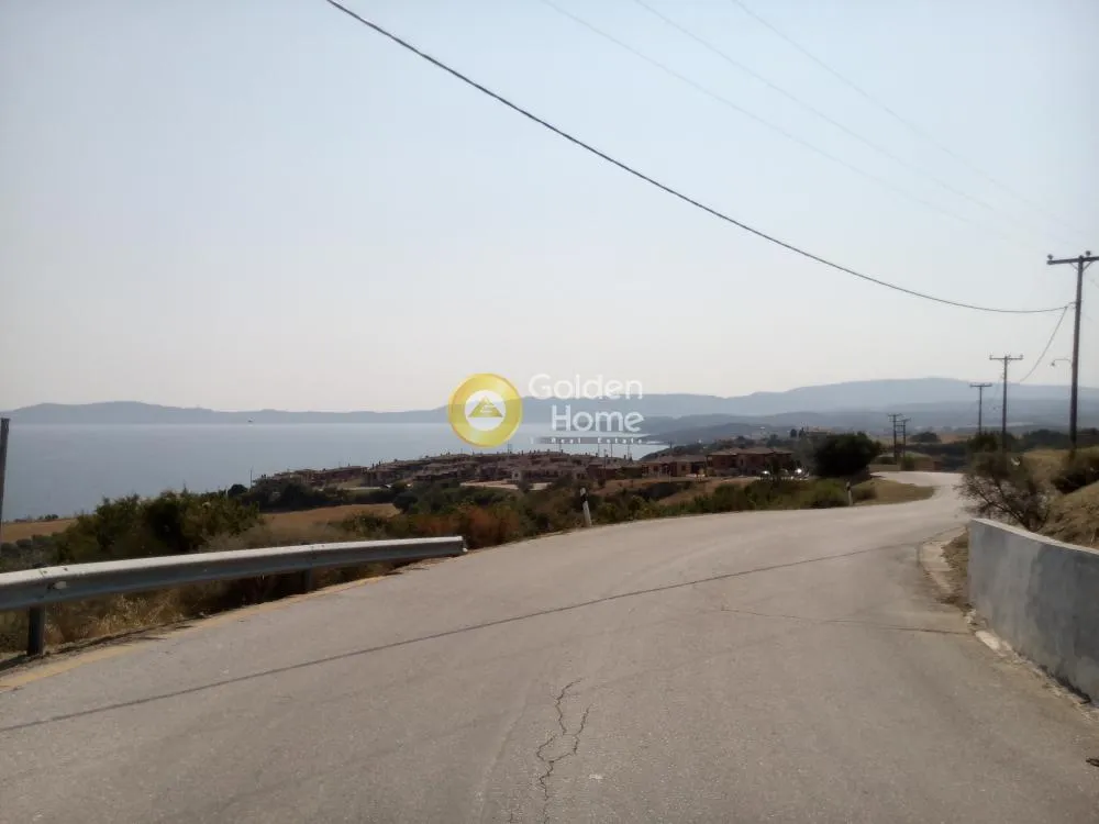 Αγροτεμάχιο 15202τ.μ.  - 4