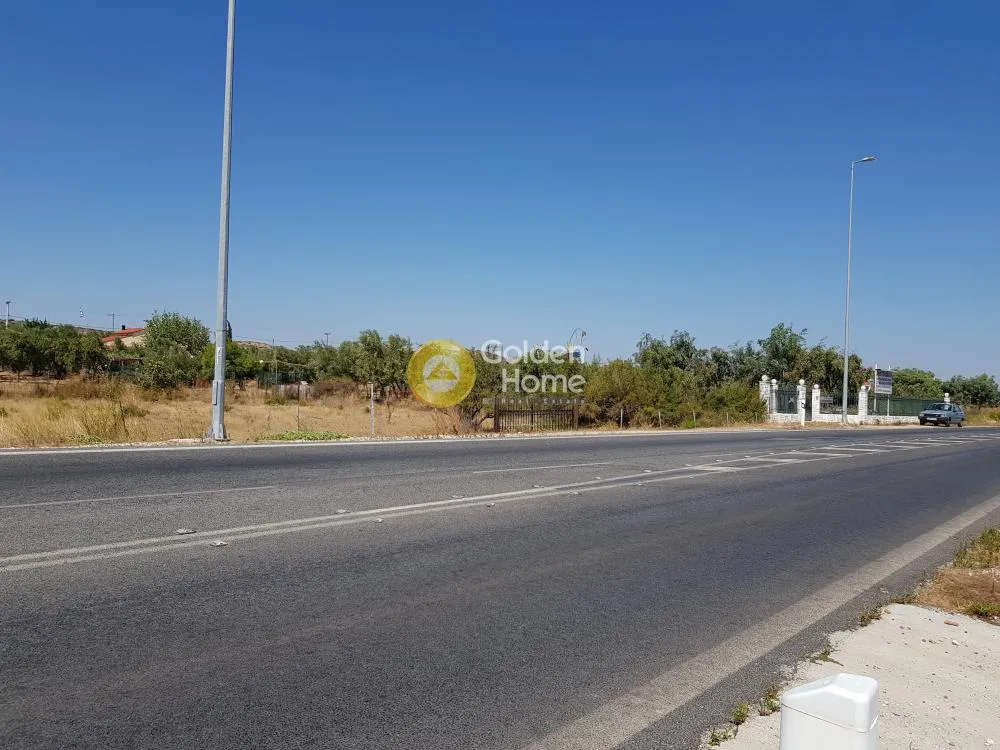 Αγροτεμάχιο 930τ.μ.  - 2