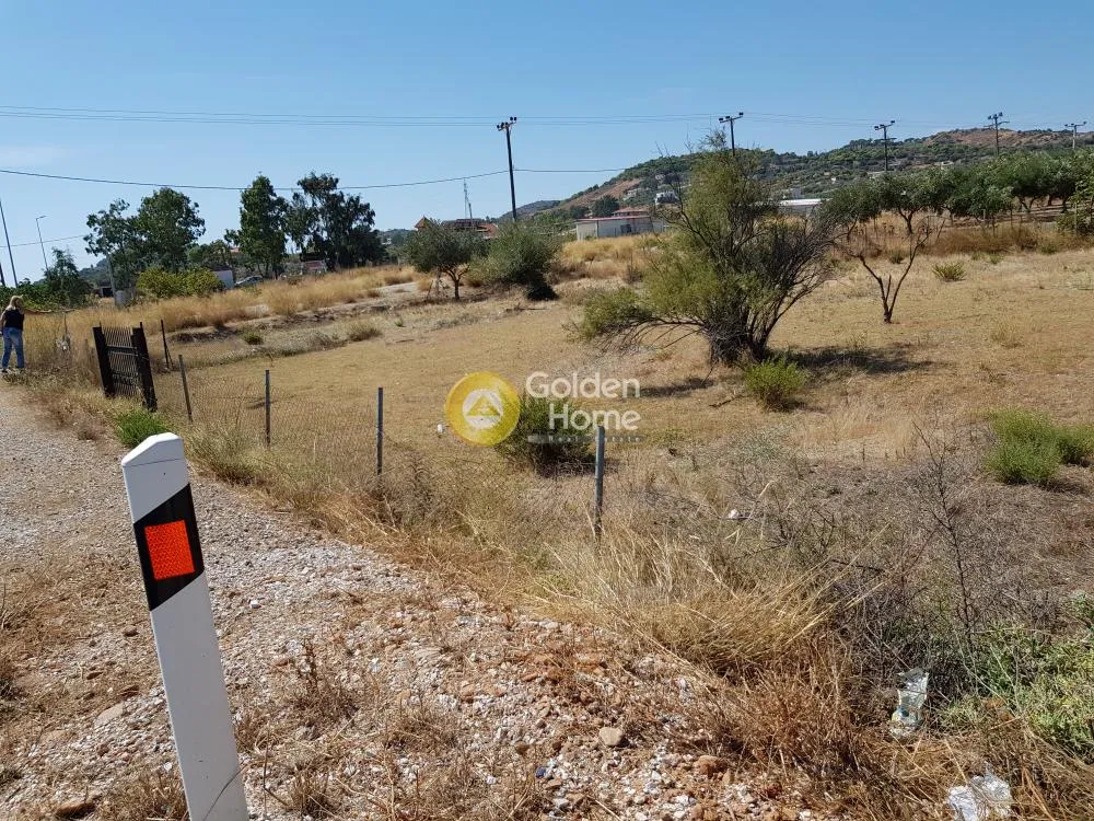 Αγροτεμάχιο 930τ.μ.  - 3