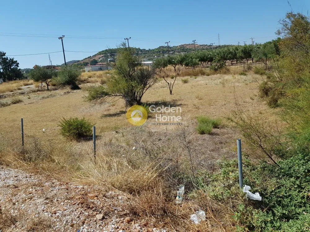 Αγροτεμάχιο 930τ.μ.  - 5
