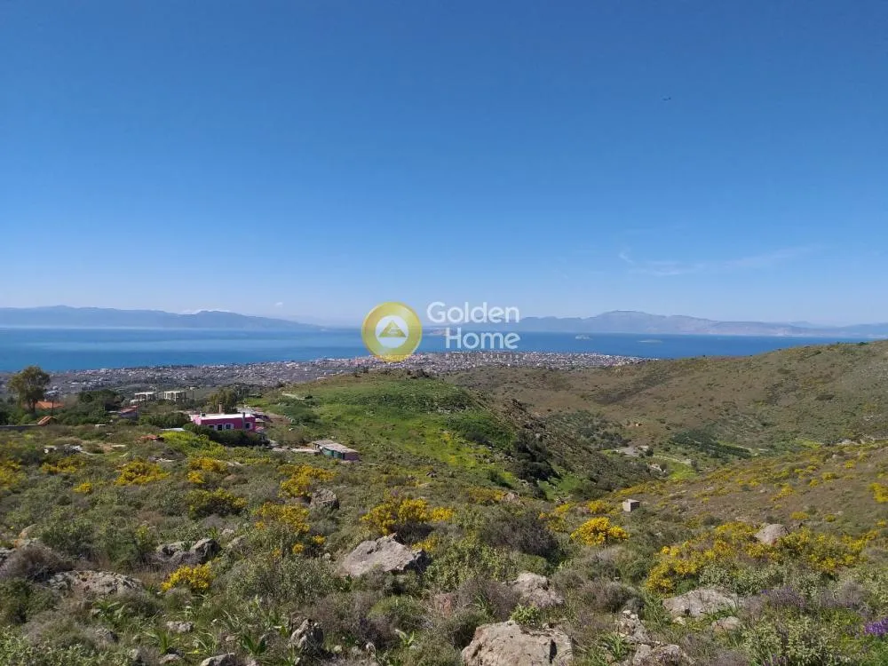 Land Parcel 14000m²  - 2