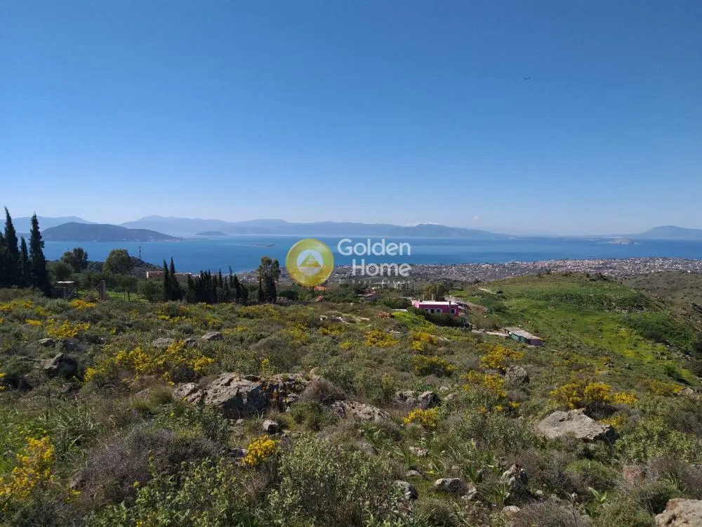 Land Parcel 14000m²  - 3