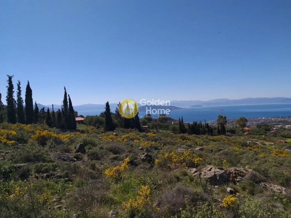 Land Parcel 14000m²  - 4