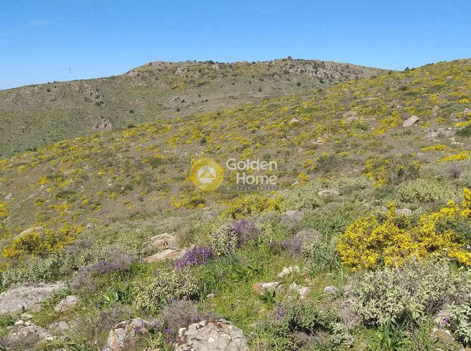 Land Parcel 14000m²  - 5