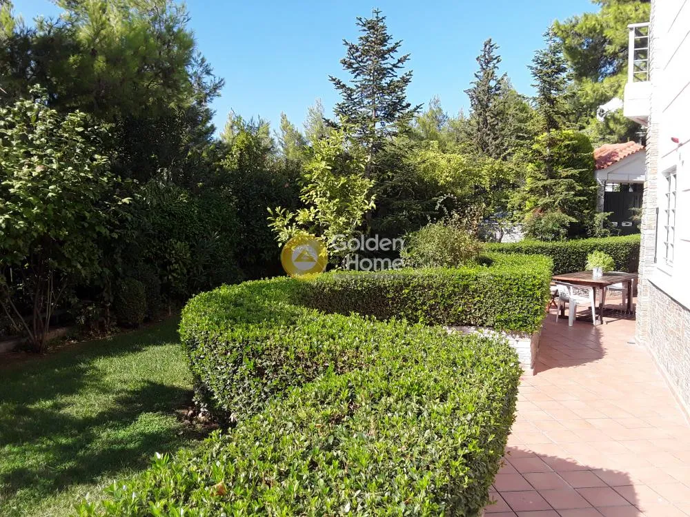 Other ..  800m²  - 2