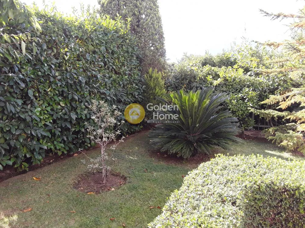 Other ..  800m²  - 3