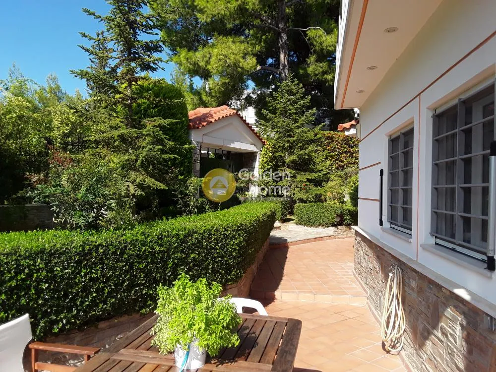 Other ..  800m²  - 4