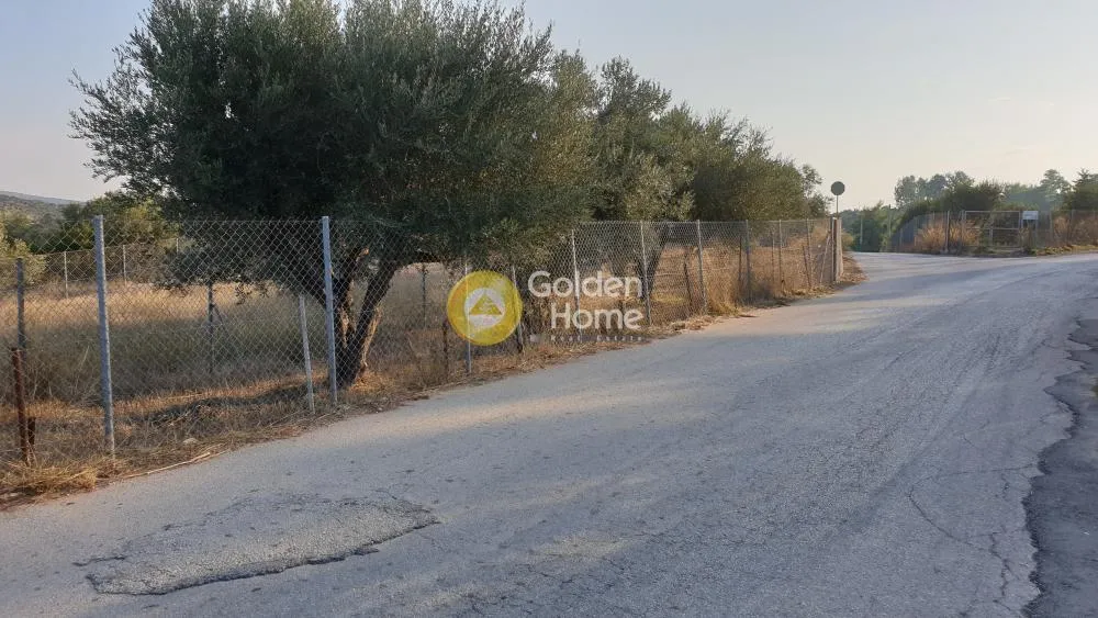 Αγροτεμάχιο 288τ.μ.  - 3