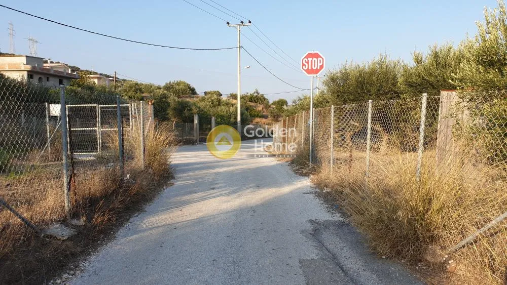 Αγροτεμάχιο 288τ.μ.  - 4