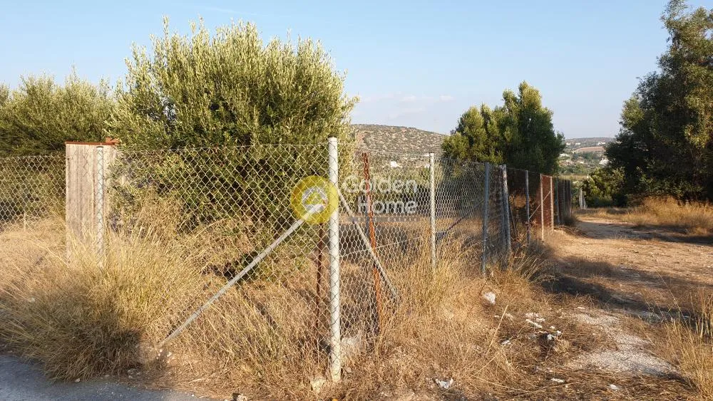 Αγροτεμάχιο 288τ.μ.  - 5