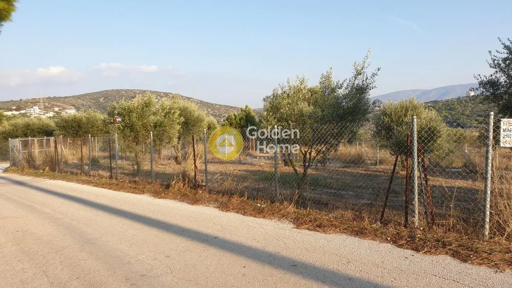 Αγροτεμάχιο 1460τ.μ.  - 2