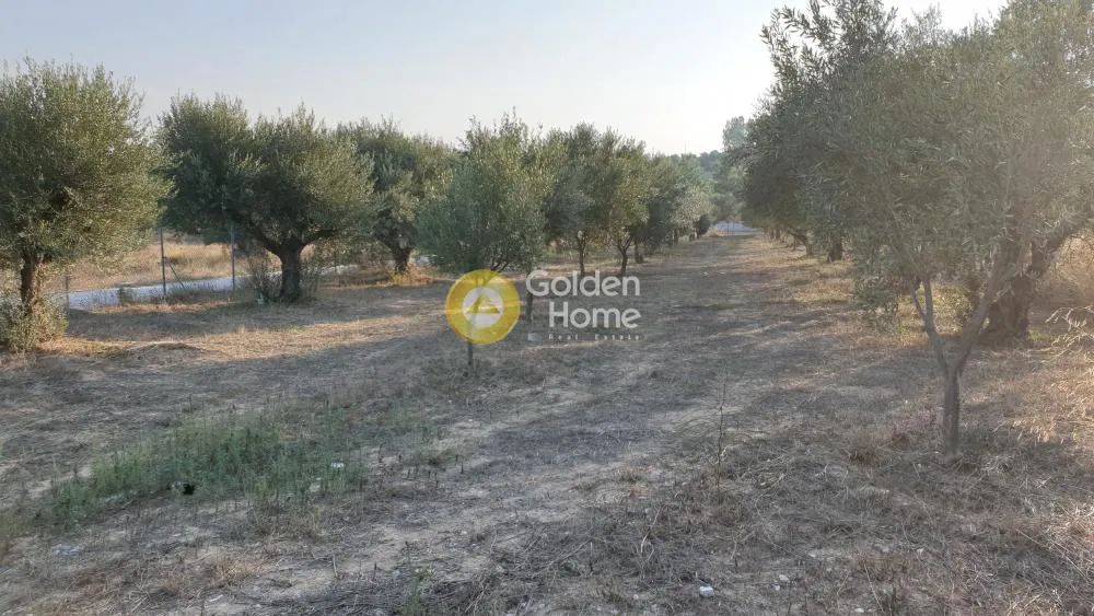 Αγροτεμάχιο 1460τ.μ.  - 4