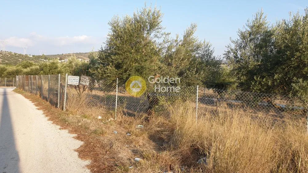 Αγροτεμάχιο 1460τ.μ.  - 5