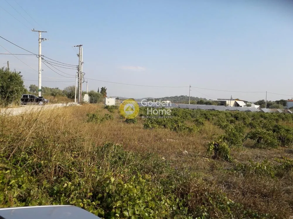 Land Parcel 5900m²  - 2