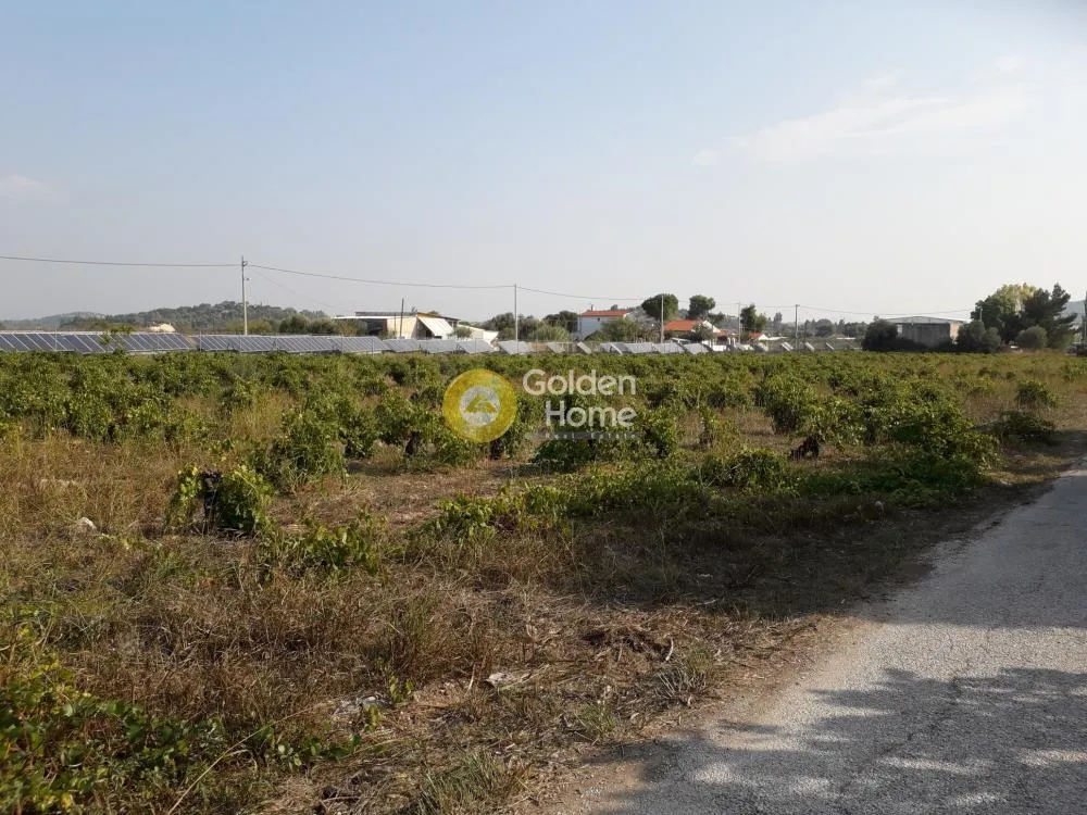 Land Parcel 5900m²  - 3