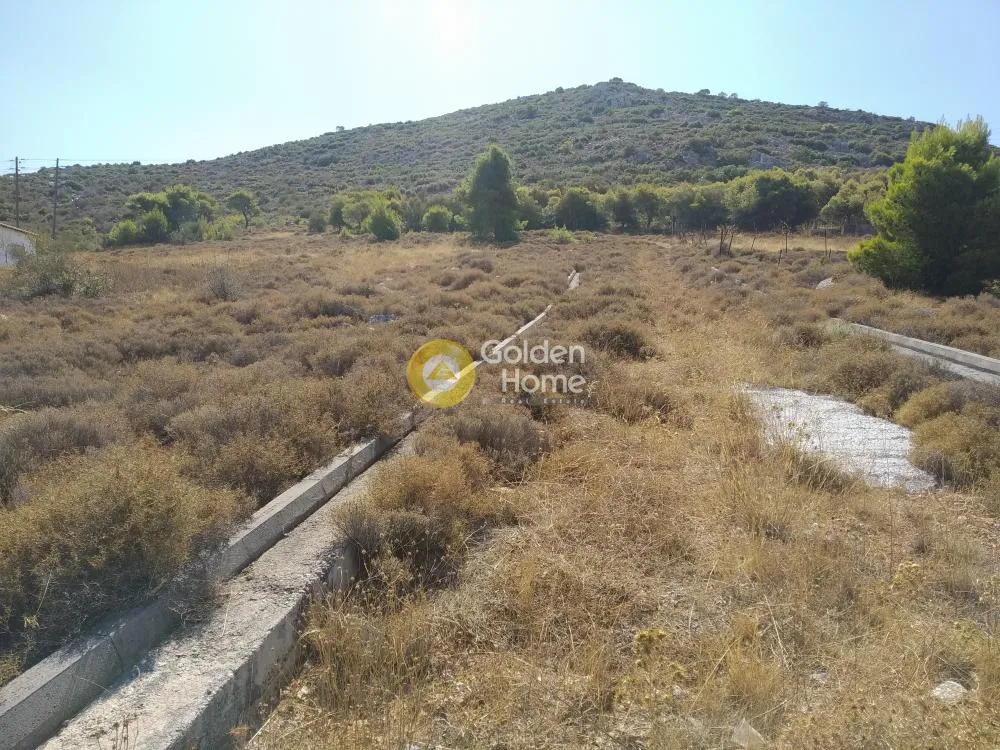 Άλλο.. 1680τ.μ.  - 4