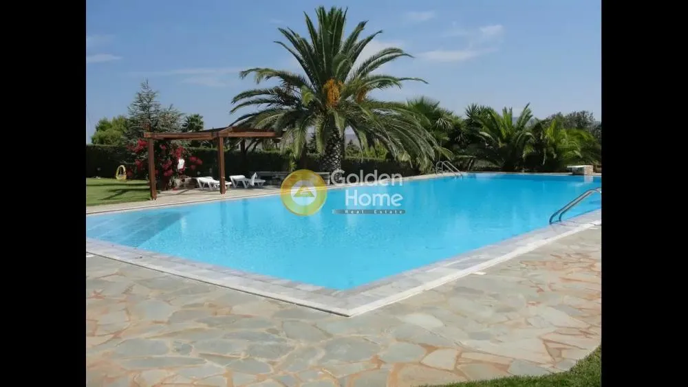 Detached house 290m²  - 4