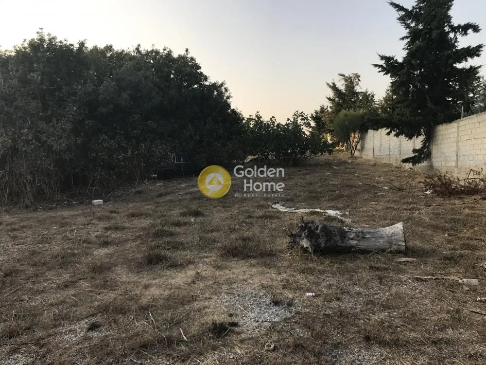 Αγροτεμάχιο 2620τ.μ.  - 3