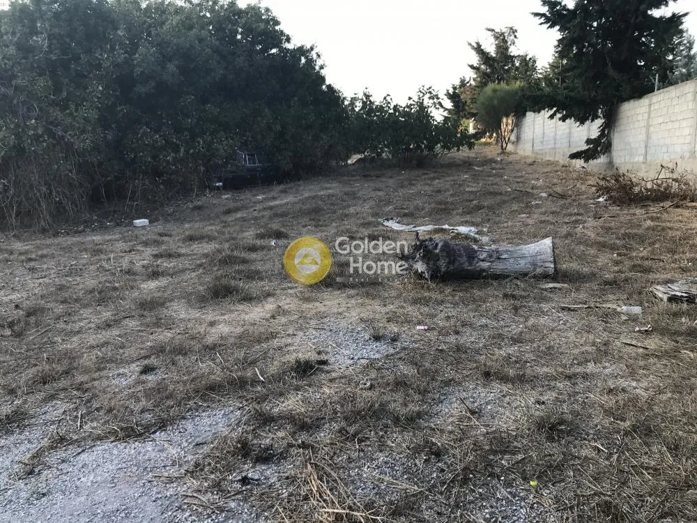 Αγροτεμάχιο 2620τ.μ.  - 4