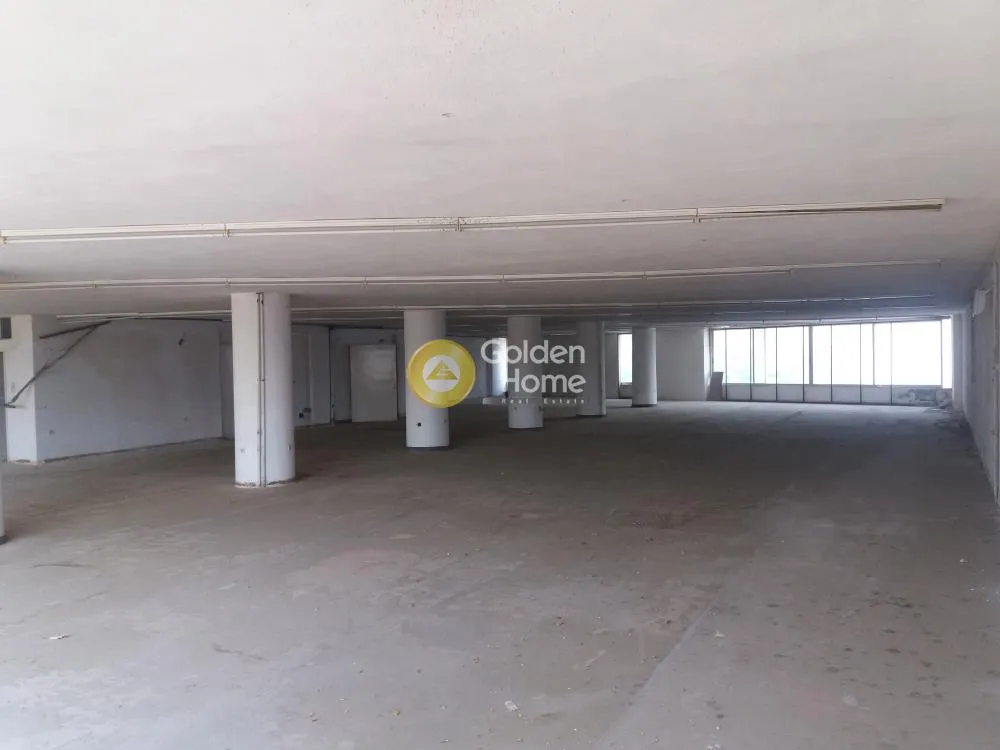 Shop 562m²  - 4