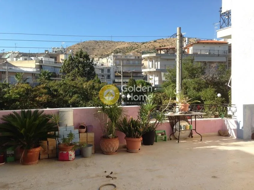 Shop 377m²  - 2