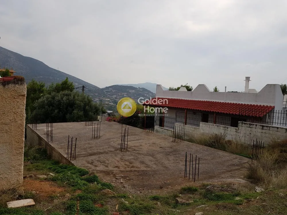 Αγροτεμάχιο 300τ.μ.  - 3