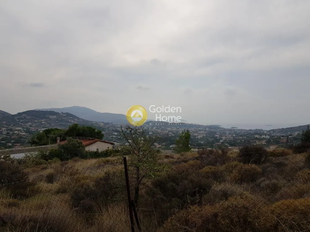 Αγροτεμάχιο 300τ.μ.  - 5