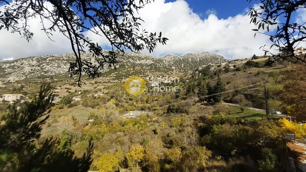 Άλλο..  350τ.μ.  - 3