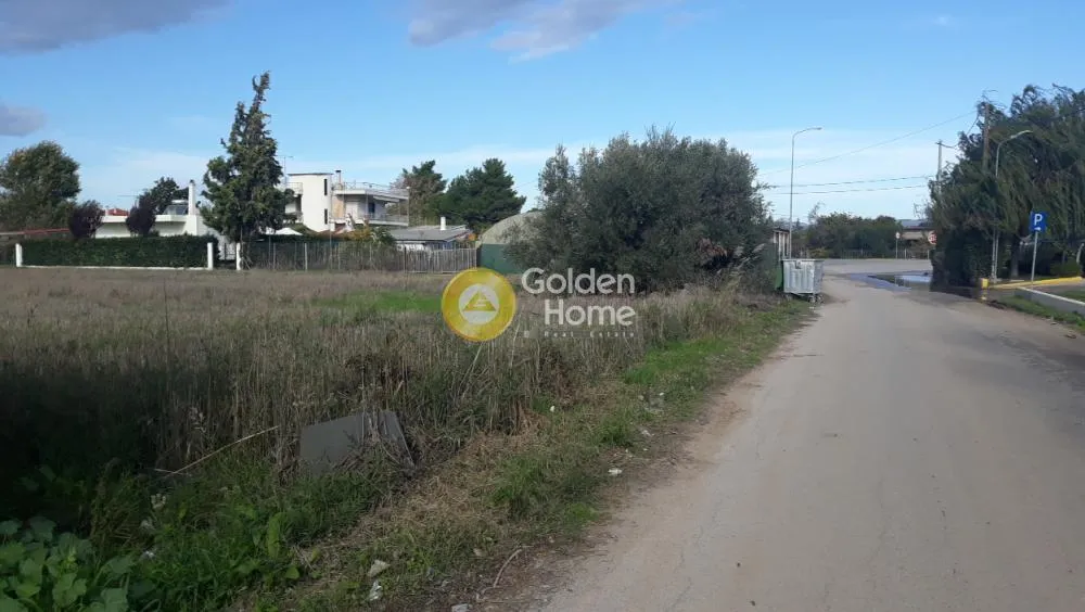 Other .. 8000m²  - 2