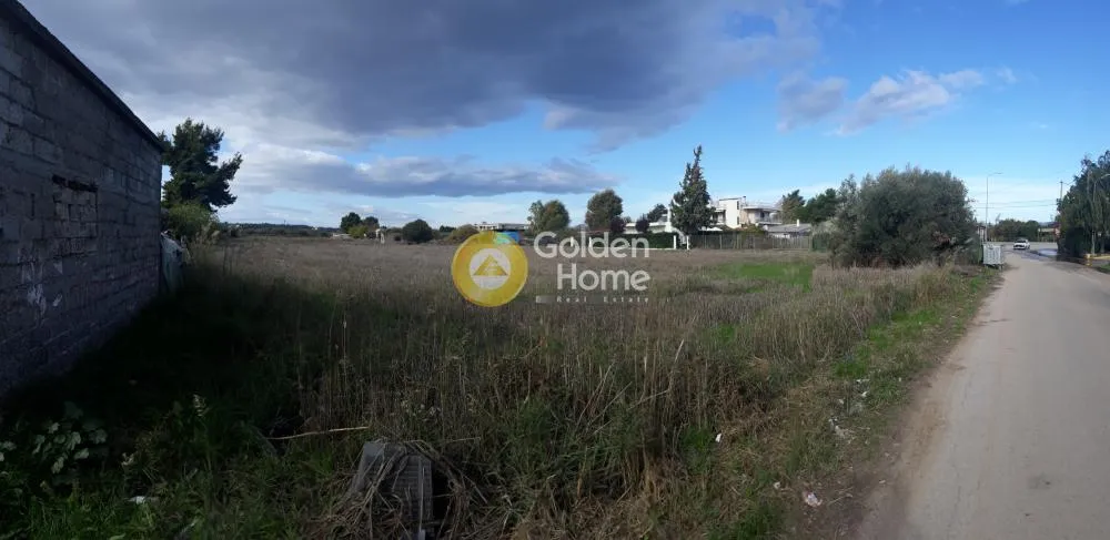 Other .. 8000m²  - 3