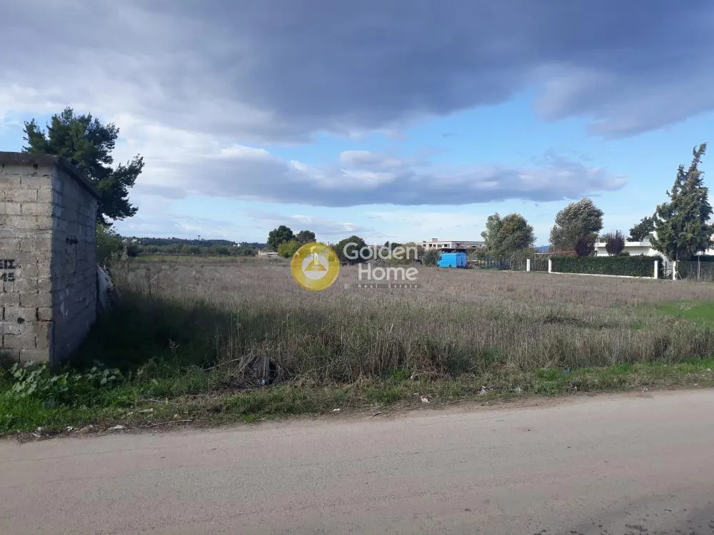 Other .. 8000m²  - 5