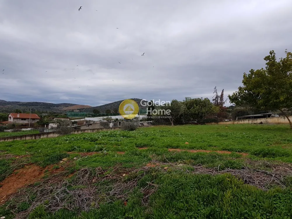 Αγροτεμάχιο 2900τ.μ.  - 3