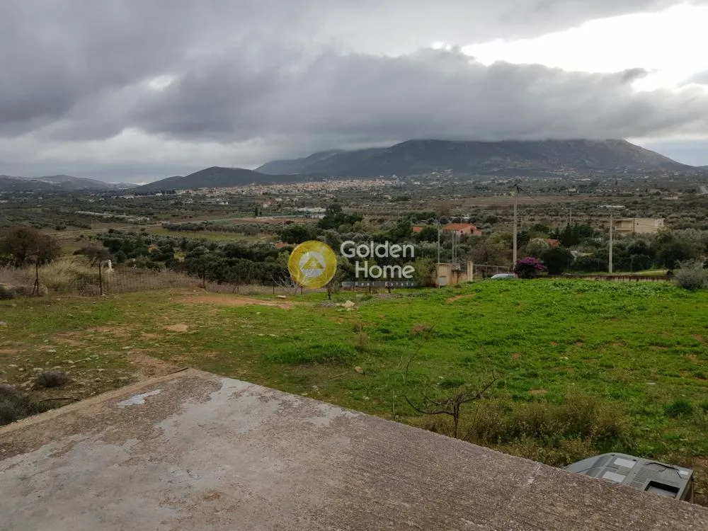 Αγροτεμάχιο 2900τ.μ.  - 4