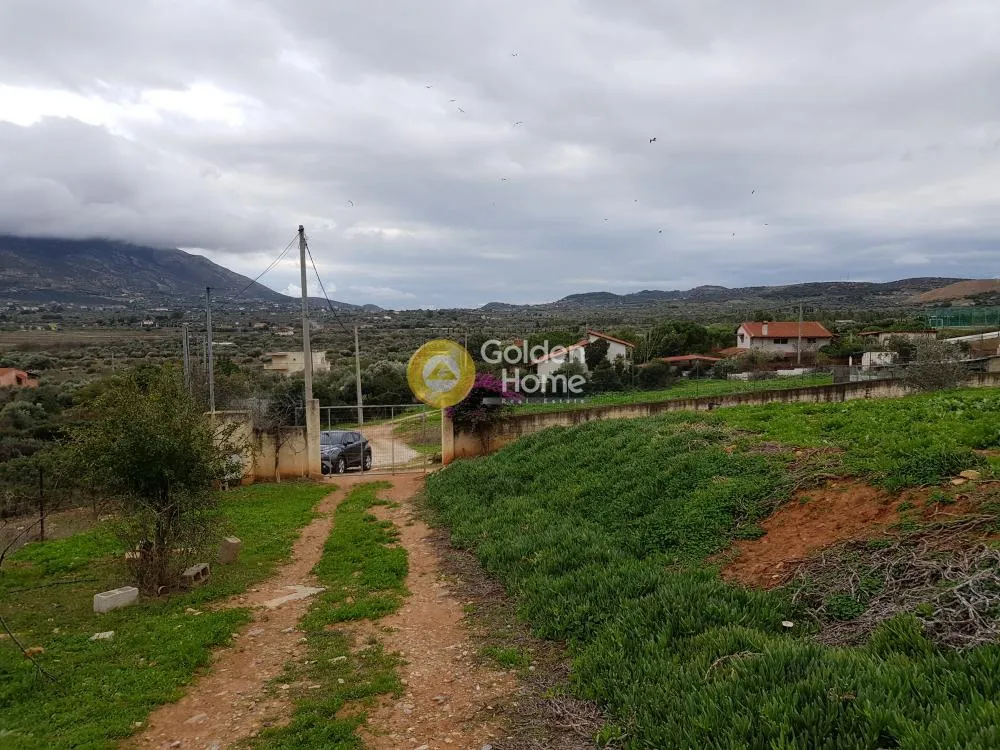 Αγροτεμάχιο 2900τ.μ.  - 5