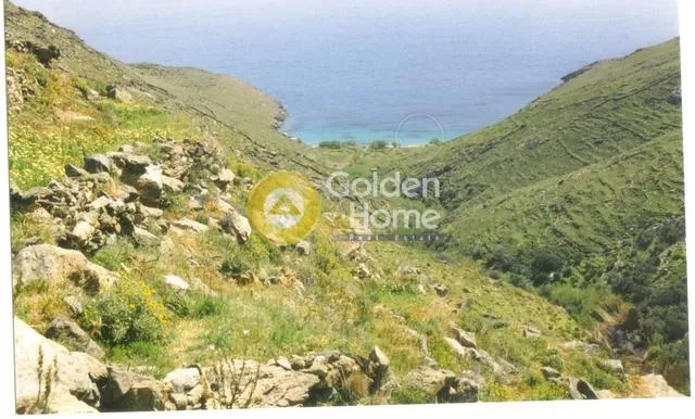 Αγροτεμάχιο 484τ.μ.  - 2