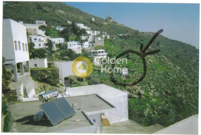 Αγροτεμάχιο 484τ.μ.  - 4