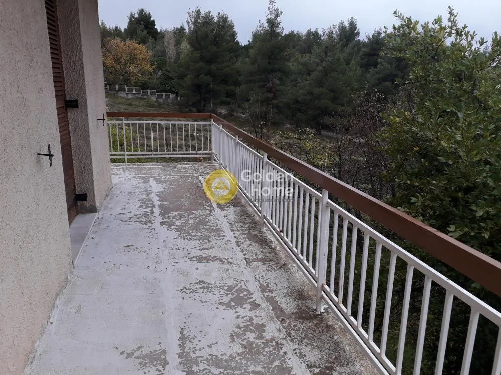 Αγροτεμάχιο 2000τ.μ.  - 4
